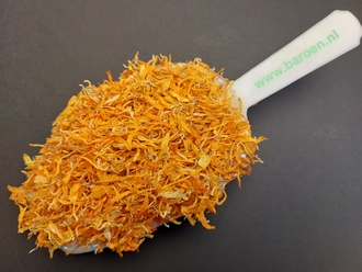 goudsbloem blaadjes.jpg